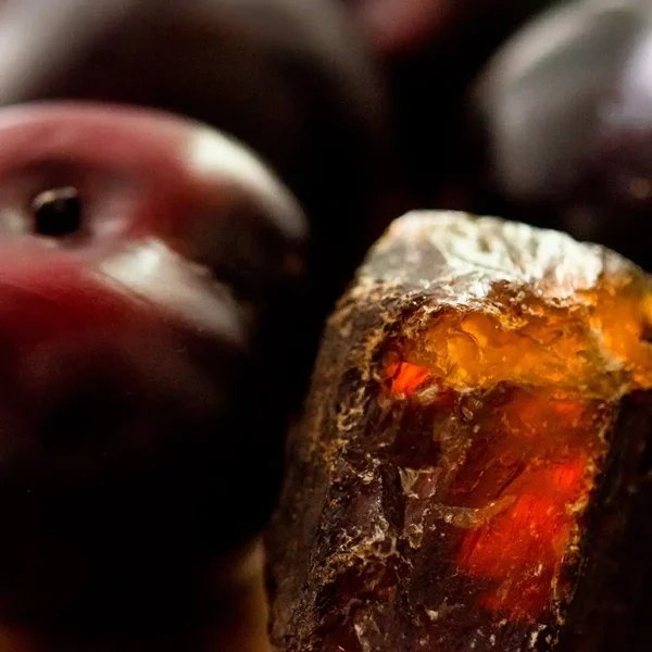 Аромат Чорний бурштин та слива (Black Amber and Plum)