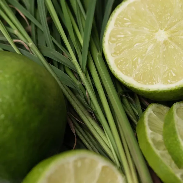 Аромат Лемонграсс та лайм (Lemongrass and Lime)