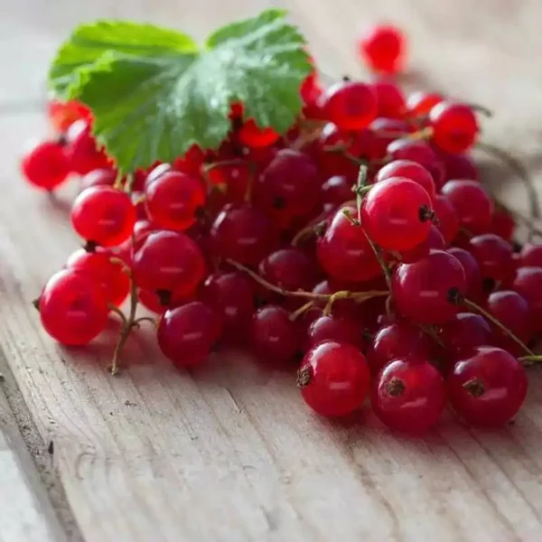 Аромат Червона смородина (Red Currant)