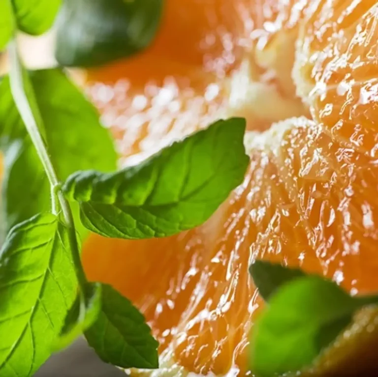 Аромат Водяна м'ята та клементин (Watermint and Clementine)